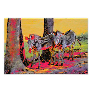 Colourful Zebras  Photo Print