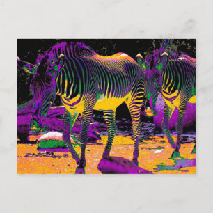 Colourful Zebras Postcard