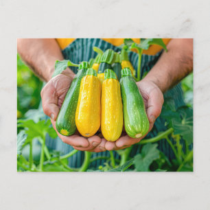Colourful Zucchini Variety in Hands Holiday Postcard