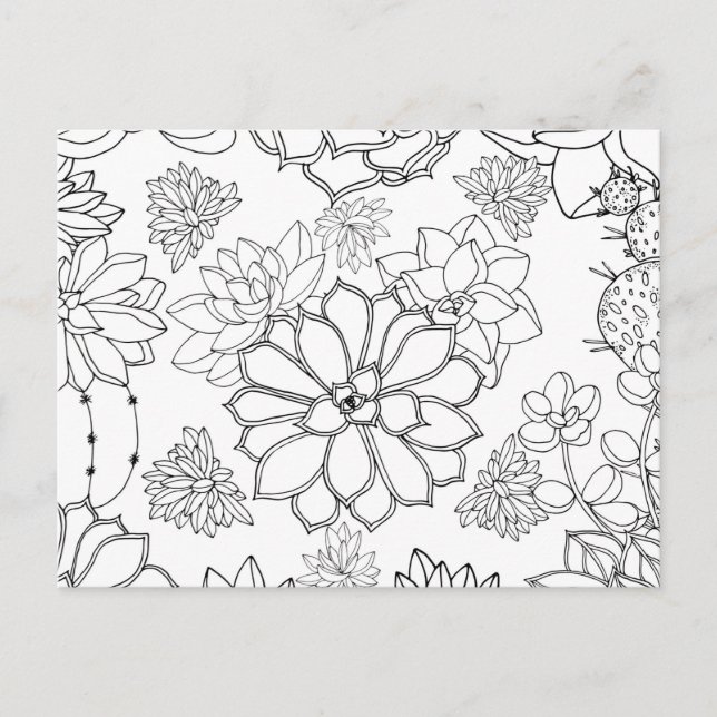 Colouring Floral Pattern Illustration  Postcard (Front)