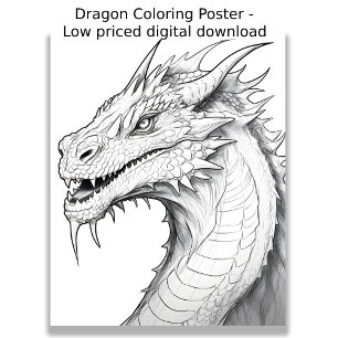 Colouring Page - Dragon, Colour Your Own  Poster