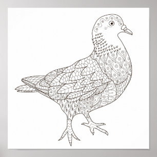 Colouring Page Fancy Pigeon Poster