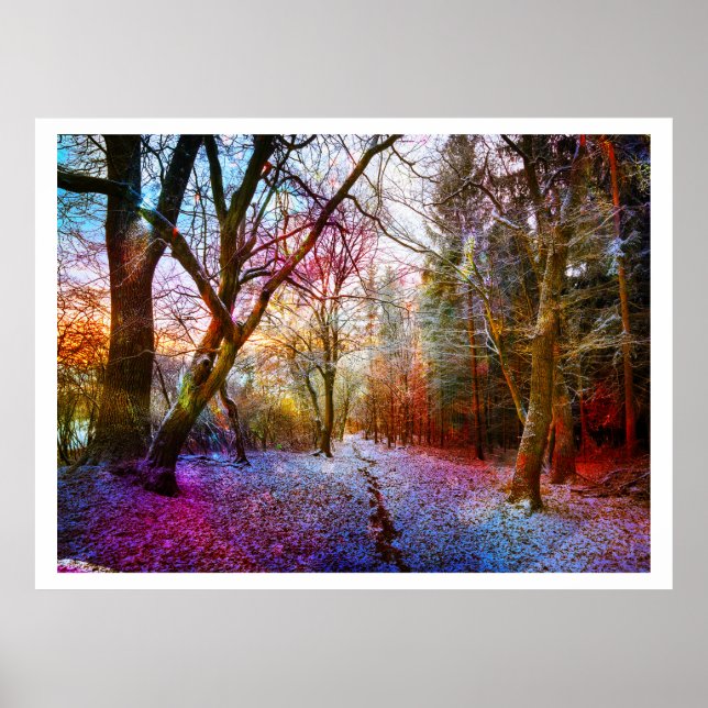 Colourized Forest Winter Landscape Poster (Front)