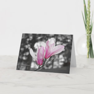 Colourized tulip magnolia card