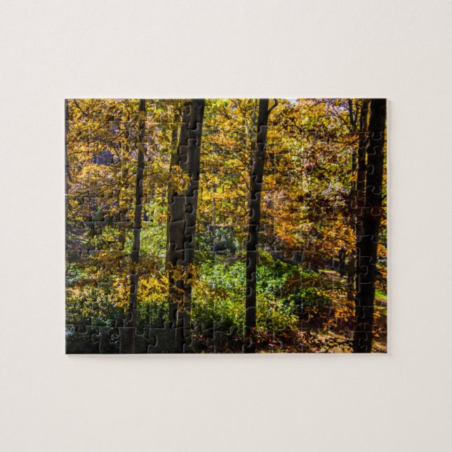 Colours of Autumn  Jigsaw Puzzle (Horizontal)