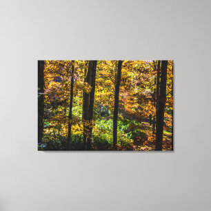 Colours of Autumn Landscape Canvas Print