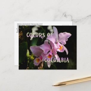Colours of Colombia Cattleya Orchid Postcard