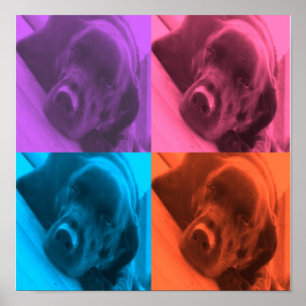 colours of Lab poster