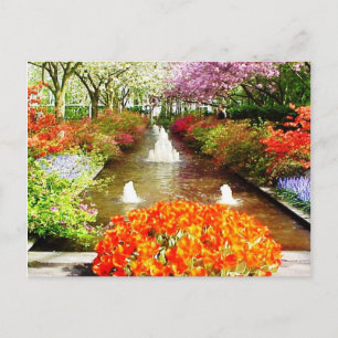 Colours of Life Postcard