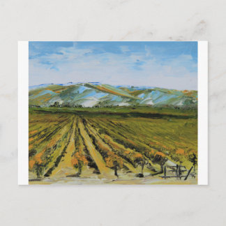 Colours of Napa Valley, Wine Country California Postcard