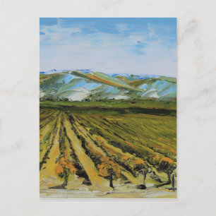 Colours of Napa Valley, Wine Country California Postcard