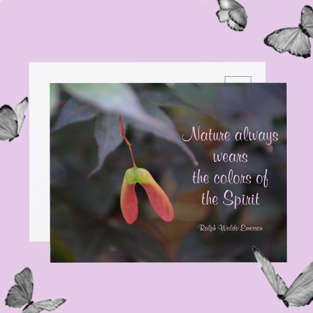 Colours of Nature Emerson Quote Photographic Postcard (Creator Uploaded)