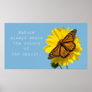 Colours of Spirit Poster