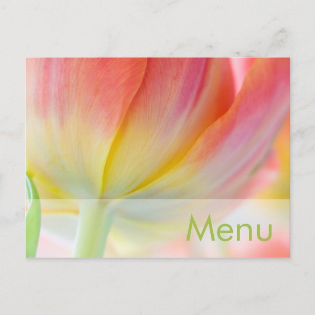 Colours of Spring • Menu Postcard (Front)