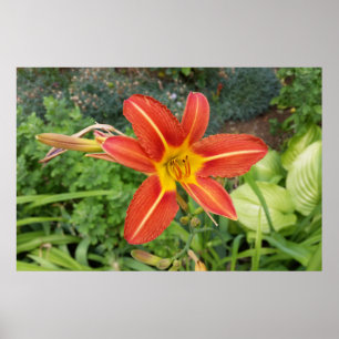 colours of summer poster