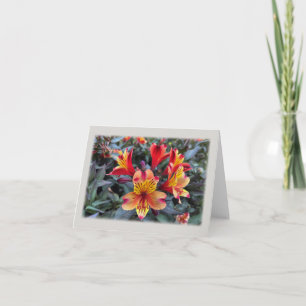 Colours of summer thank you card