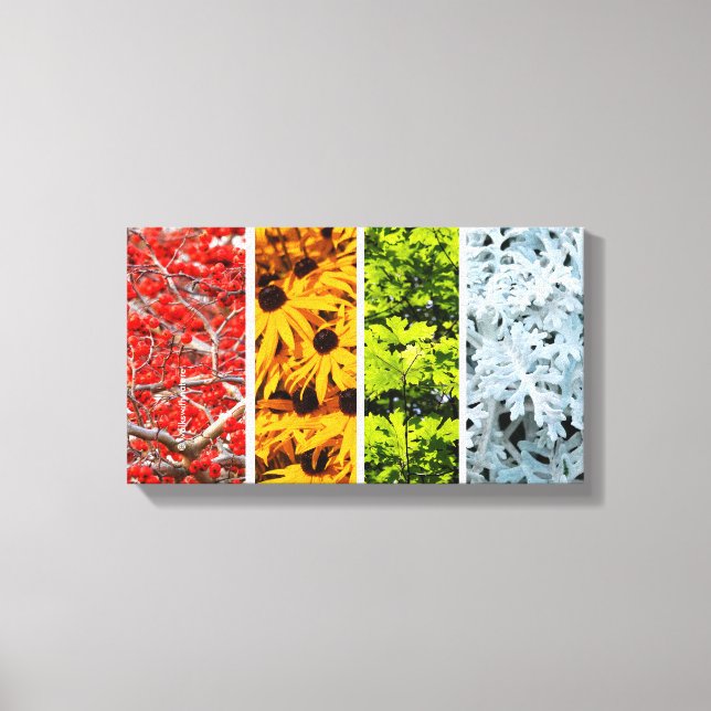 Colours of the Changing Seasons Quadriptych Canvas Print (Front)