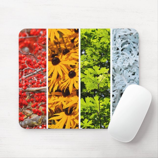 Colours of the Changing Seasons Quadriptych Mouse Pad (With Mouse)