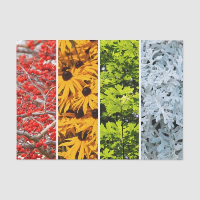 Colours of the Changing Seasons Quadriptych Tissue Paper (Front)