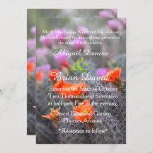 Colours of the desert cactus blooms background