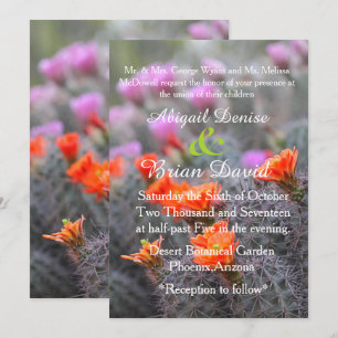 Colours of the desert cactus blooms background invitation