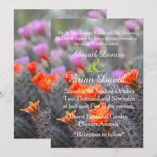 Colours of the desert cactus blooms background invitation (Front/Back)