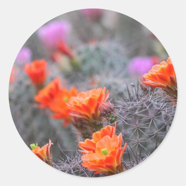 Colours of the desert classic round sticker (Front)