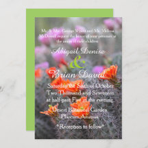 Colours of the desert green background