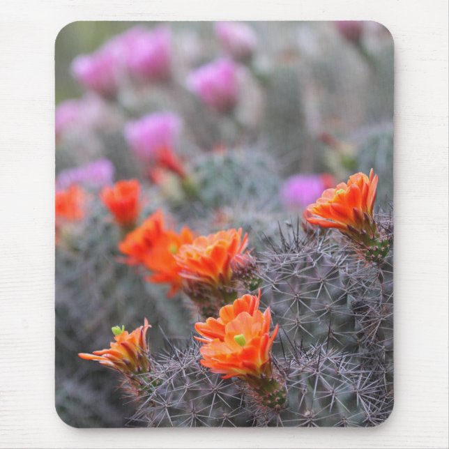 Colours of the desert mouse pad (Front)