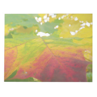 Colours of the Maple Leaf Autumn Nature Notepad