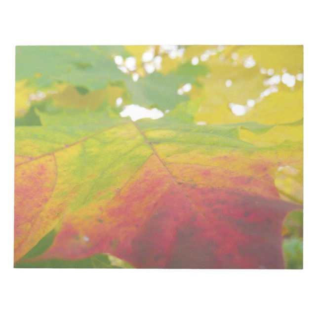 Colours of the Maple Leaf Autumn Nature Notepad (Front)