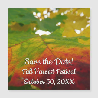 Colours of the Maple Leaf Autumn Nature Photograph