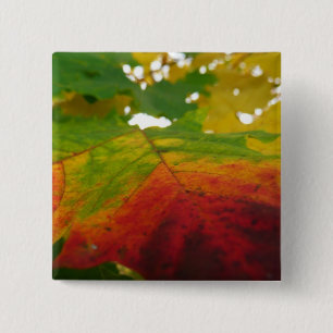 Colours of the Maple Leaf Autumn Nature Photograph 15 Cm Square Badge