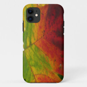 Colours of the Maple Leaf Autumn Nature Photograph Case-Mate iPhone Case