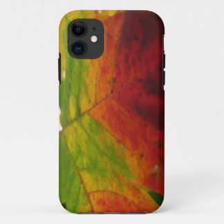 Colours of the Maple Leaf Autumn Nature Photograph Case-Mate iPhone Case