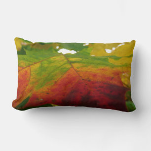 Colours of the Maple Leaf Autumn Nature Photograph Lumbar Cushion