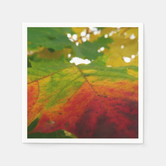 Colours of the Maple Leaf Autumn Nature Photograph Napkin