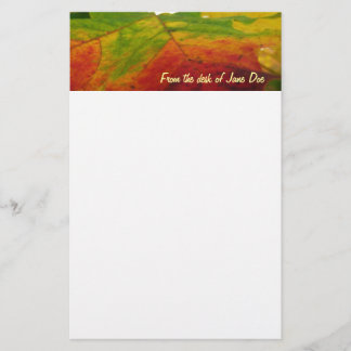 Colours of the Maple Leaf Autumn Nature Photograph Stationery