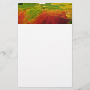 Colours of the Maple Leaf Autumn Nature Photograph Stationery