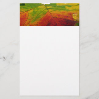 Colours of the Maple Leaf Autumn Nature Photograph Stationery