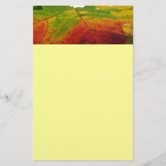 Colours of the Maple Leaf Autumn Nature Photograph Stationery