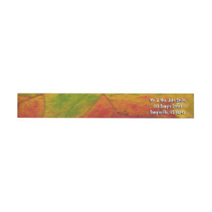 Colours of the Maple Leaf Autumn Nature Photograph Wrap Around Label