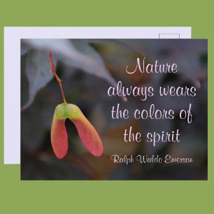 Colours of the Spirit Emerson Quote Postcard