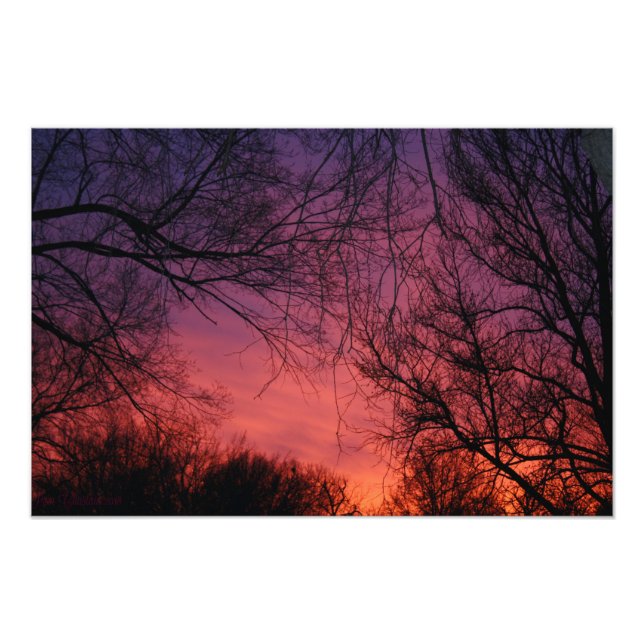 "Colours" Photo (Front)