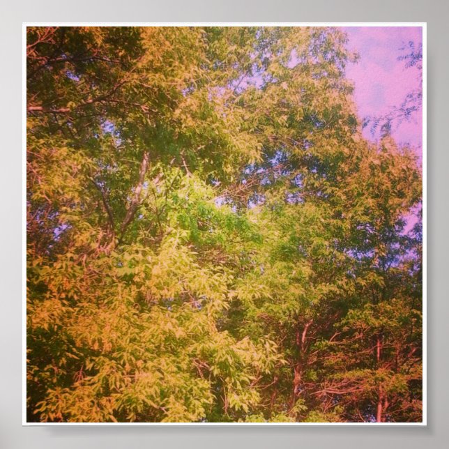 Colours Poster (Front)