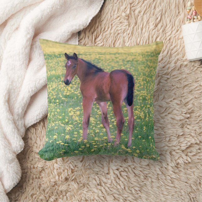 Colt in Dandelion Field Cushion (Blanket)