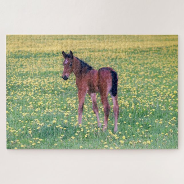 Colt in Dandelion Field Jigsaw Puzzle (Horizontal)
