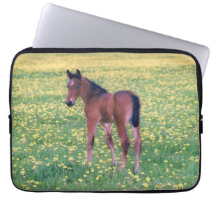 Colt in Dandelion Field Laptop Sleeve