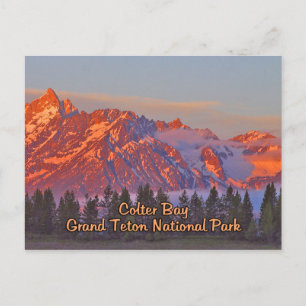 Colter Bay Grand Teton National Park Postcard