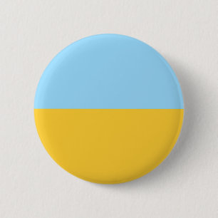 Columbia Blue and Gold CUSTOM Pins